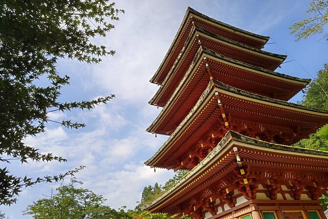 Relaxed Nara Tour From Osaka: Hasedera and Muroji Temples - Pickup and Timing