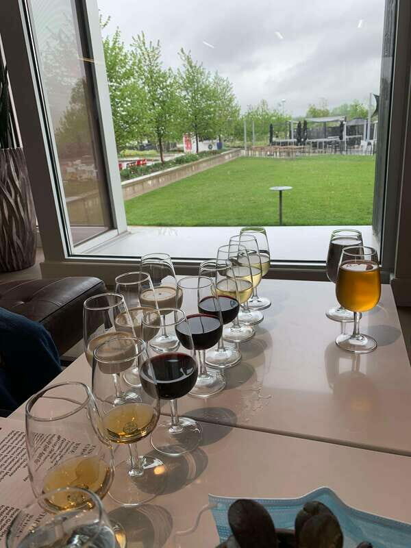 Relaxing Lunch & Wine Tour through Niagara's Wine Country - Key Points