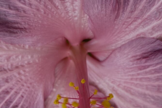 Relaxing Massage and Reiki on Lovely Maui ! - Key Points