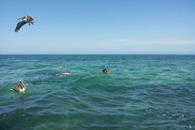 Relaxing Private Boat Tour to Cabo Catoche With Fishing and Snorkeling - Fishing and Snorkeling