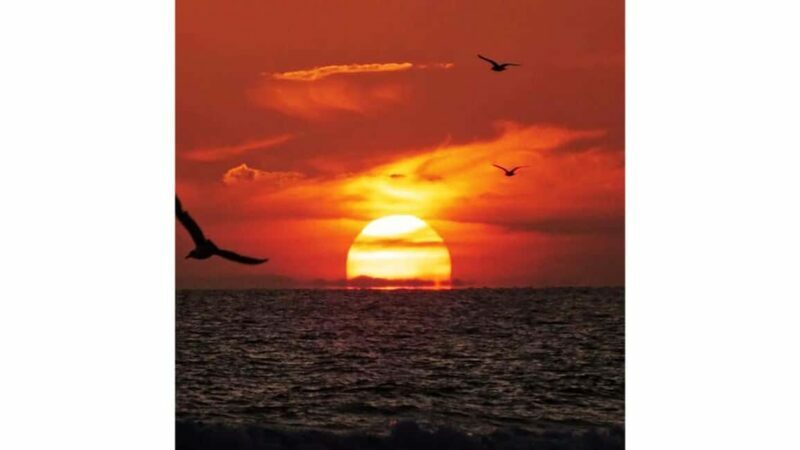 Relaxing Sunset/Evening Cruise in Newport Beach - Key Points