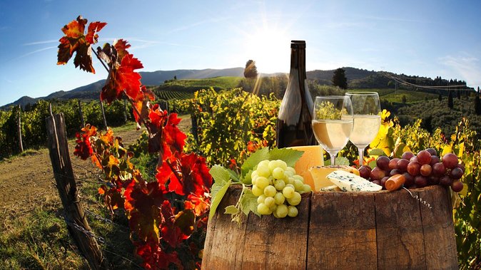 Relaxing Wine Tour With Food & Wine Tasting - Umbria - Wine Tasting Experience