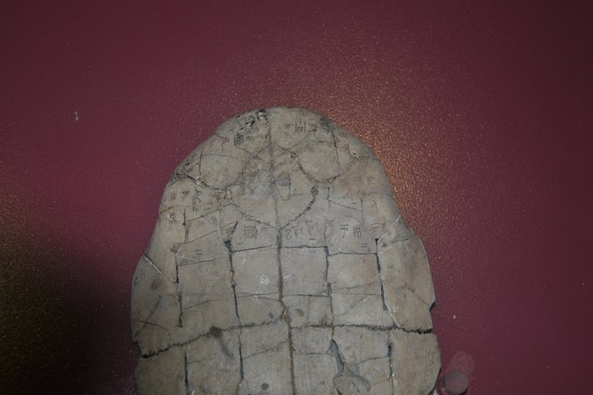 Relic of Shang Dynasty Capital City Review - Recap
