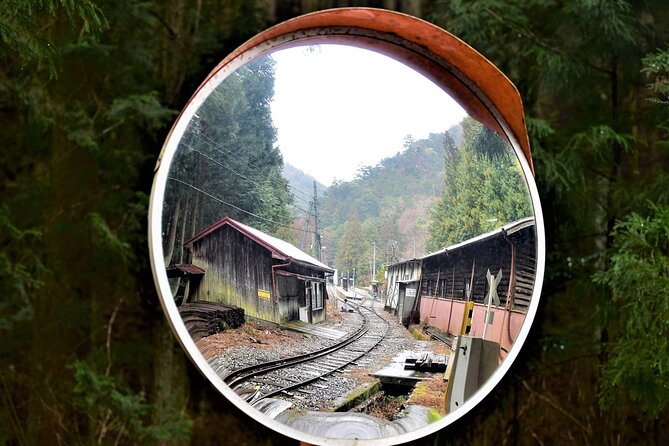 Relive Colorados Gold Rush Experience - Private Guides - Immersive Gold Rush History