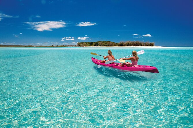 Remote Fraser Island Experience - Wildlife Sightings