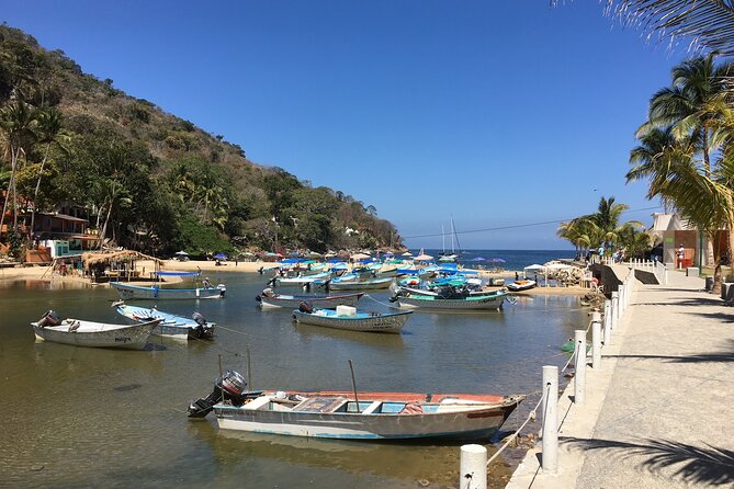 Remote Hidden Beaches of South Shore (Puerto Vallarta) - Inclusions and Exclusions