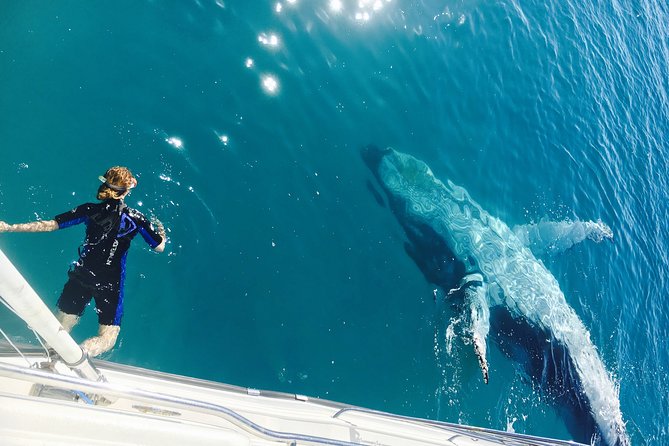 Remote Kgari (Fraser Island) & Whale Experience - Highlights of the Tour