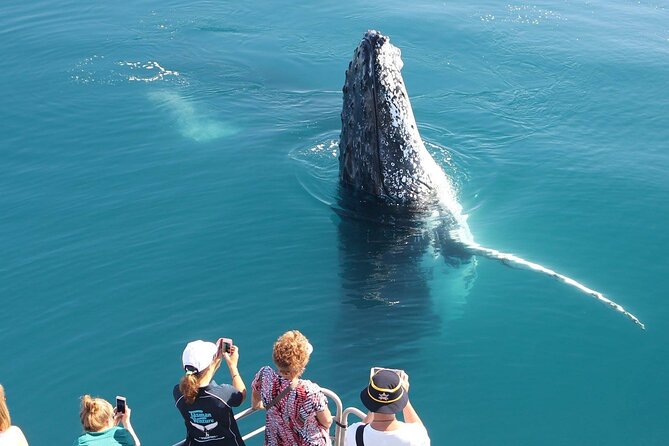 Remote Kgari (Fraser Island) & Whale Experience - Additional Information