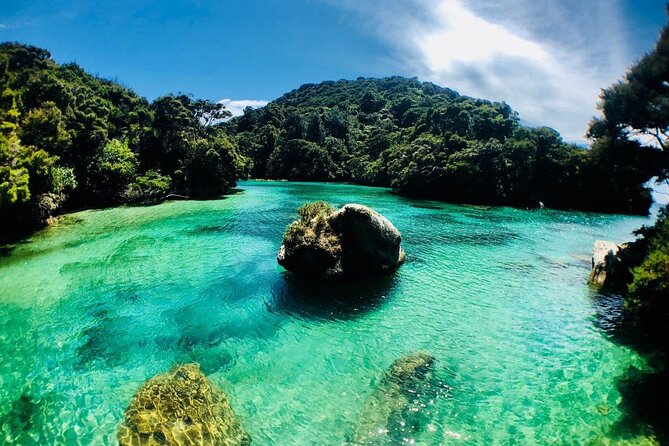 Remote Marine Reserve - Guided Kayaking - New Zealand - Gear and Equipment