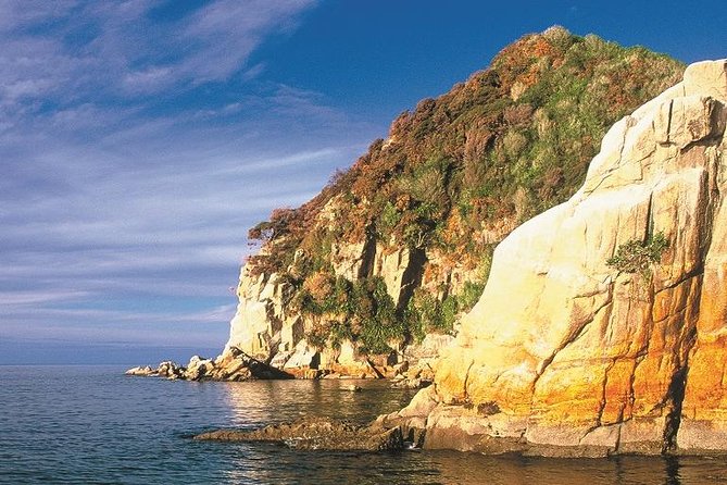 Remote Marine Reserve - Guided Kayaking - New Zealand - Itinerary and Activities