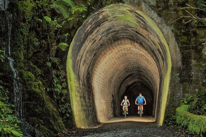 Remutaka Rail Trail Ebike Explorer Cycle Tour - Highlights of the Tour