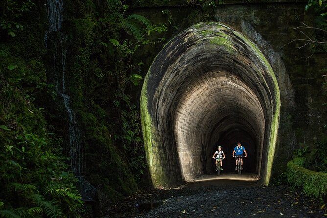 Remutaka Rail Trail Ebike Explorer Cycle Tour - Knowledgeable Host and Trail Information