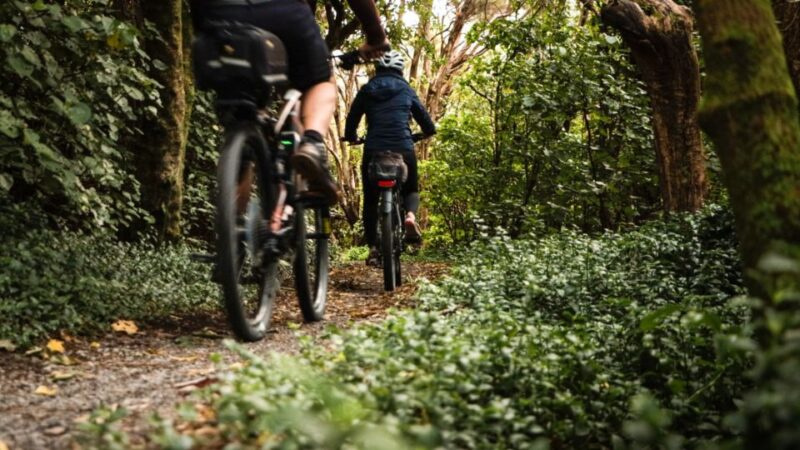 Remutaka Rail Trail Ebike Explorer - Highlights and Experiences