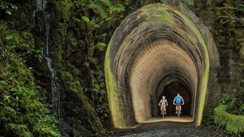 Remutaka Rail Trail Ebike Explorer - Customer Ratings and Feedback