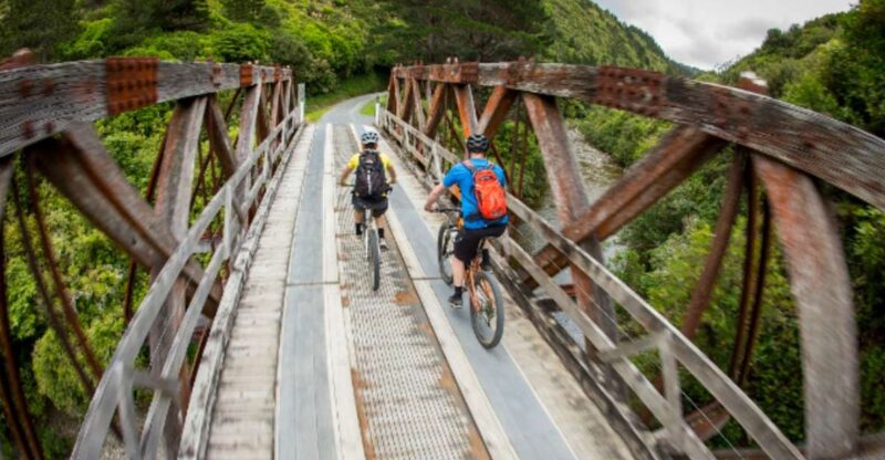 Remutaka Rail Trail Ebike Shore Excursion for Cruise Ships - Key Points
