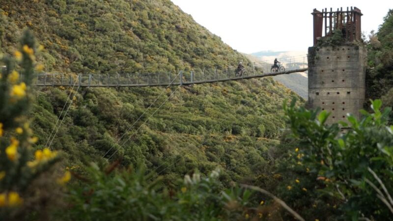 Remutaka Rail Trail Ebike Shore Excursion for Cruise Ships - Itinerary and Logistics