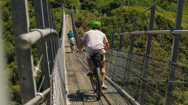 Remutaka Rail Trail Ebike Shore Excursion for Cruise Ships - Experience Highlights