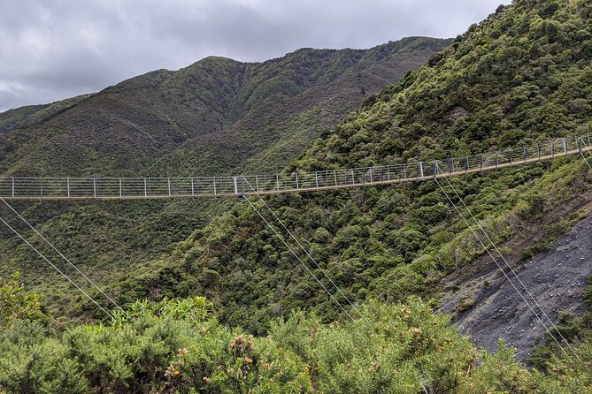 Remutaka Rail Trail Explorer - Ebike Cruise Ship Shore Excursion - Tour Highlights and Scenery