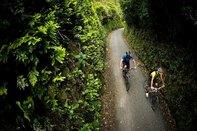 Remutaka Rail Trail Explorer - Ebike Cruise Ship Shore Excursion - Inclusions and Exclusions