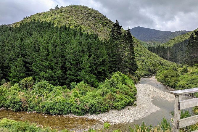 Remutaka Rail Trail Explorer - Ebike Cruise Ship Shore Excursion - Physical Fitness Requirements