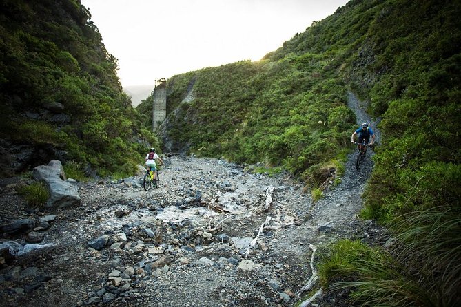 Remutaka Rail Trail Explorer - Ebike Cruise Ship Shore Excursion - Group Size and Cancellation Policy