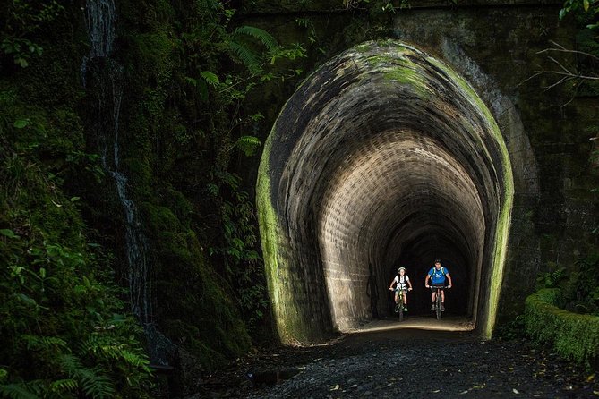 Remutaka Rail Trail Explorer - Ebike Cruise Ship Shore Excursion - Lowest Price Guarantee and Payment Options
