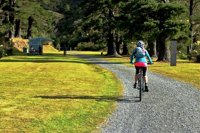 Remutaka Rail Trail Mountain Bike Explorer Cycle Tour - Customer Reviews and Feedback