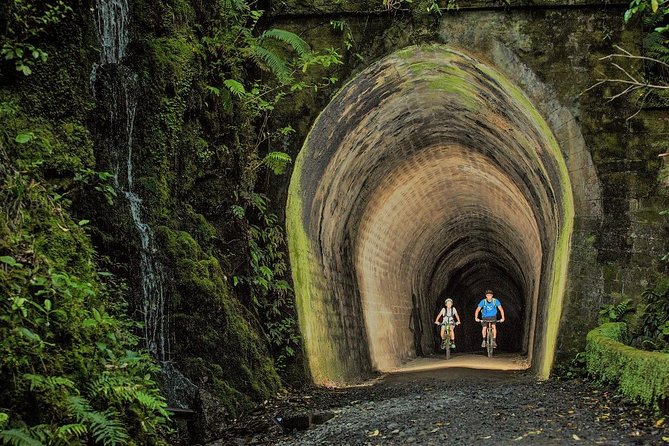 Remutaka Rail Trail Mountain Bike Explorer Cycle Tour - Trail Highlights
