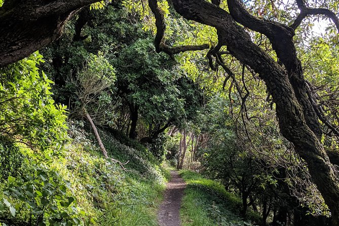 Remutaka Rail Trail Mountain Bike Explorer Cycle Tour - Safety Considerations