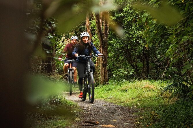 Remutaka Rail Trail Mountain Bike Explorer Cycle Tour - Meeting Points and Logistics