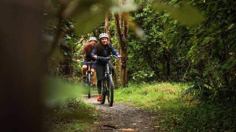 Remutaka Rail Trail Mountain Bike Explorer - Key Points