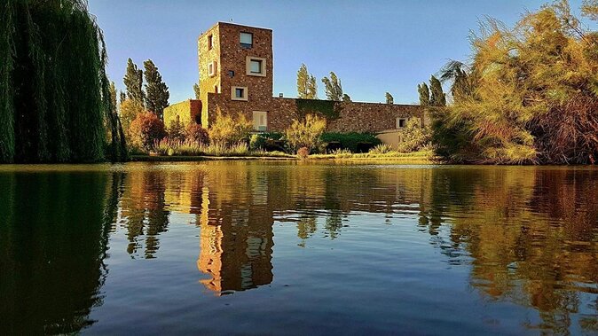 Renacer Winery Experience - Guided Tour Details