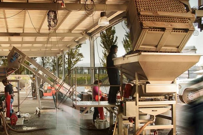 Renacer Winery Experience - Facility and Accessibility