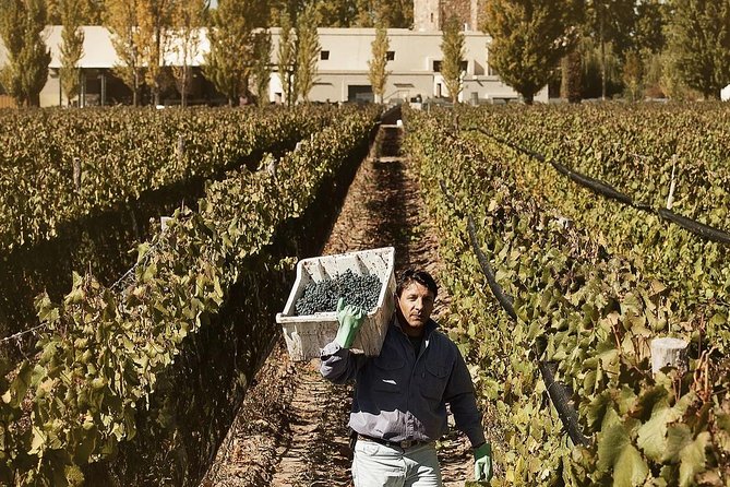Renacer Winery Experience - Customer Impressions