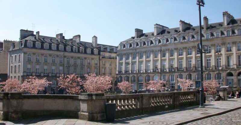 Rennes: Private Guided Walking Tour - Uncovering Roman Influences