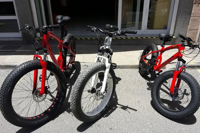 Rent A Bike (electric & Normal) Corralejo - Overview of Rental Services