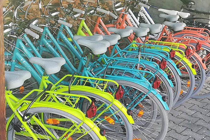 Rent a Bike From Füssen to Neuschwanstein Castle - Key Points