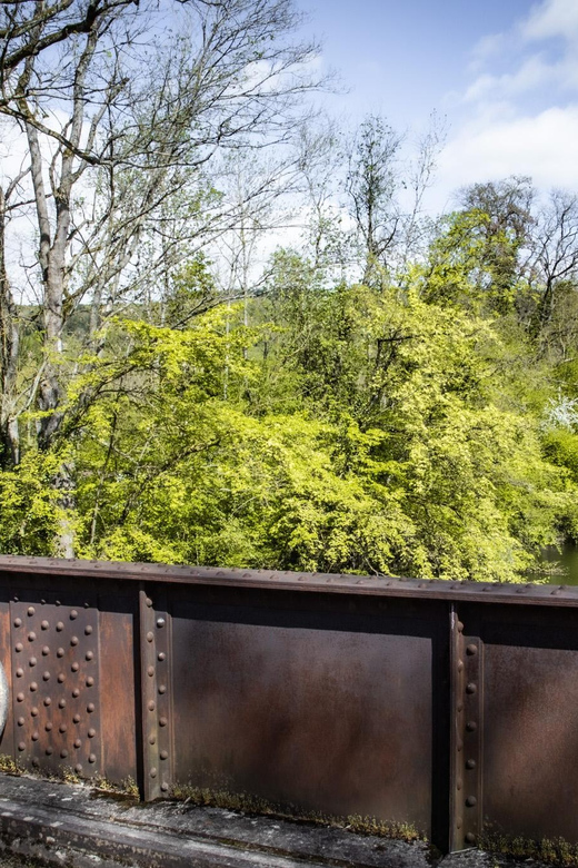 Rent a Bike in Paris - Eco-Friendly and Healthy Travel