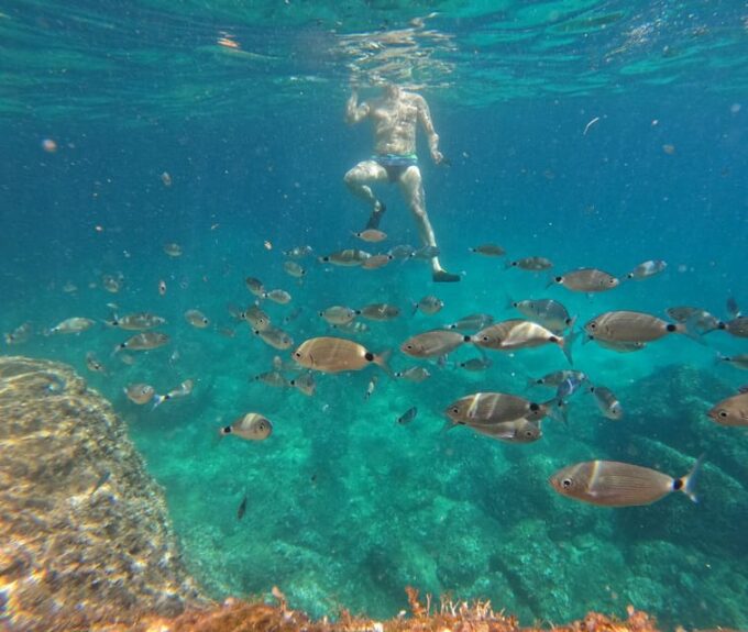 Rent a Boat up to 6 Person on Cape Kamenjak Nature Park - Onboard Relaxation