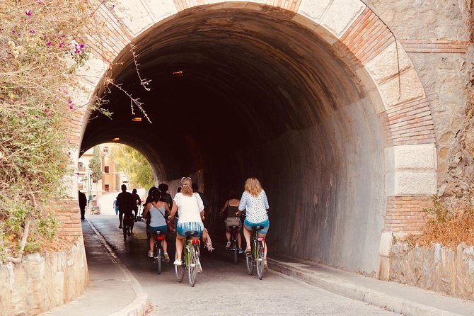 Rent a City Bike: Full Day 24 Hours - Child and Accessibility Options
