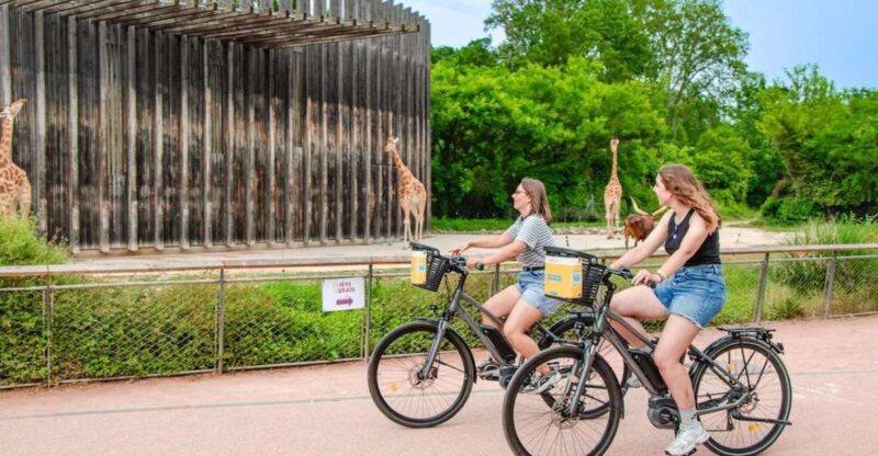 Rent a Ebike for a Half-Day (-4h) - Rental Restrictions