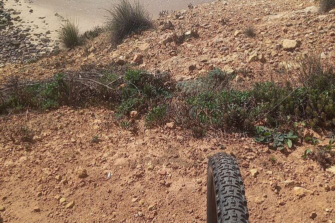 Rent a Mountain Bike and Explore Lagos and Algarve in Portugal - Customer Reviews and Ratings