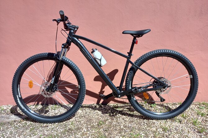Rent a Mountain Bike and Explore Lagos and Algarve in Portugal - Exploring Lagos and the Algarve