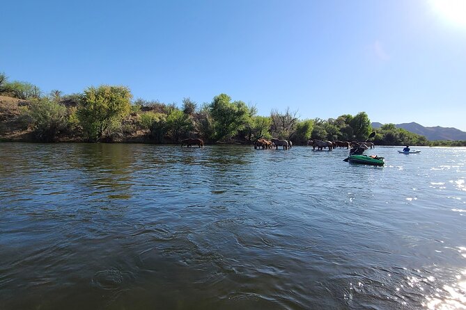 Rent a Paddle Board And Float the Lower Salt River - Location and Transportation