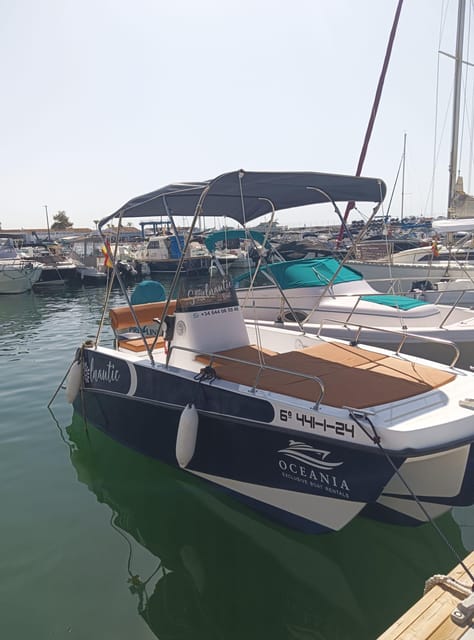 Rent a Private Boat Without a License for Dolphin Watching - Key Points