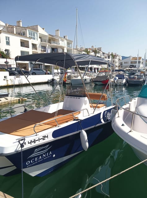 Rent a Private Boat Without a License for Dolphin Watching - Customer Feedback and Limitations