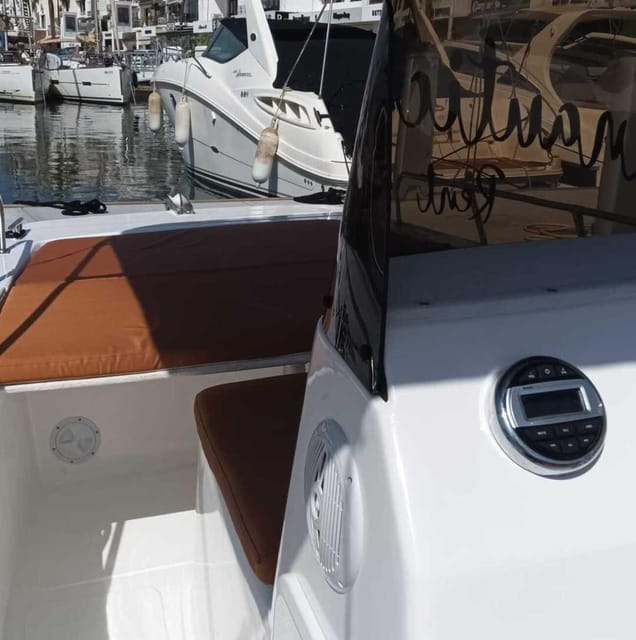 Rent a Private Boat Without a License for Dolphin Watching - Frequently Asked Questions
