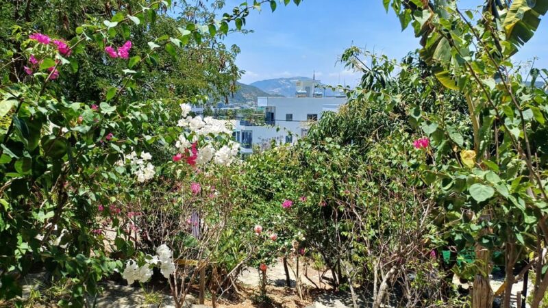 Rent a Tent to Eat and Party at Co Tien Lu Restaurant - Key Points