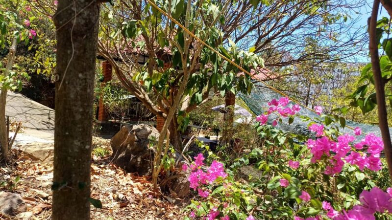 Rent a Tent to Eat and Party at Co Tien Lu Restaurant - Itinerary and Flexibility