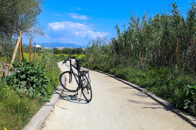 Rent a Trekking Bike: Full Day 24 Hours - Tour Experience